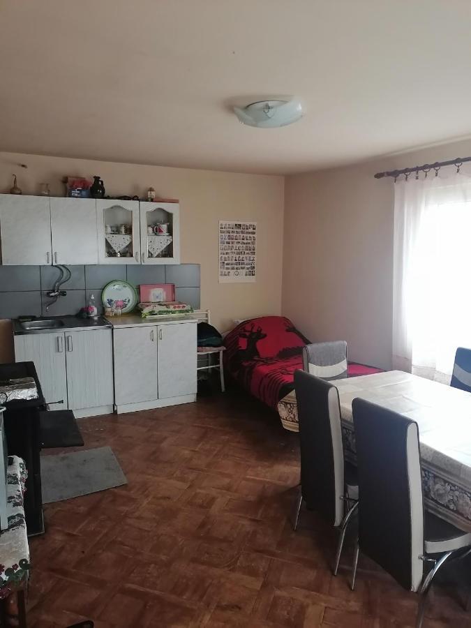 Villa Etno Kuca Badejevic à Plavna Extérieur photo