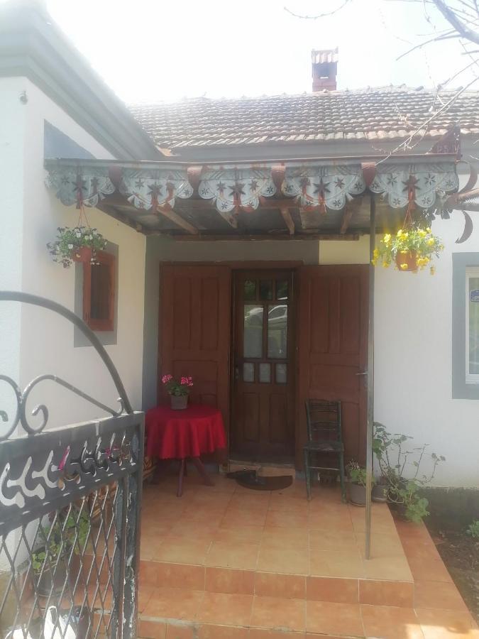 Villa Etno Kuca Badejevic à Plavna Extérieur photo