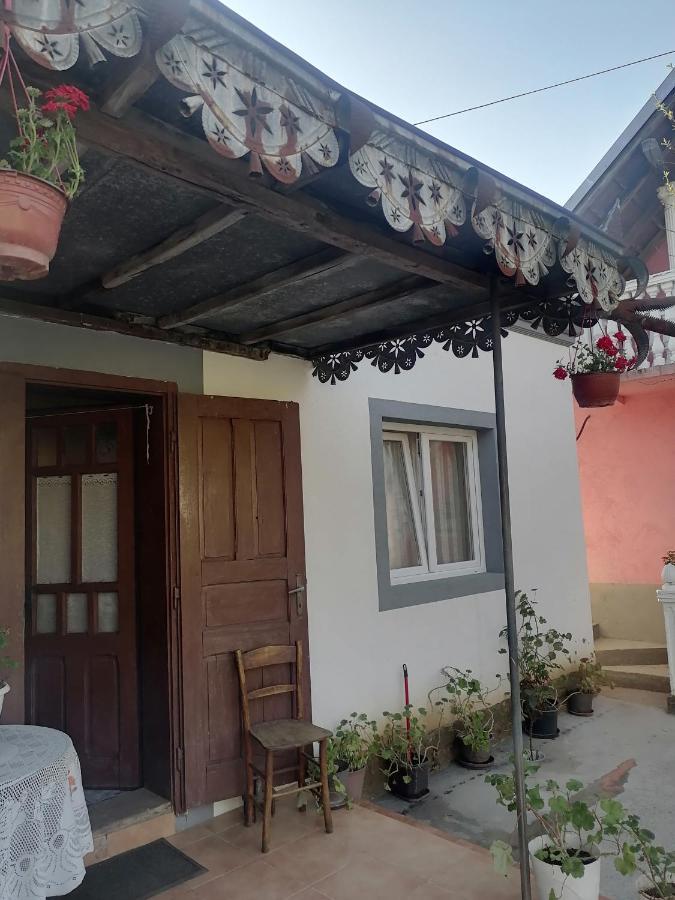 Villa Etno Kuca Badejevic à Plavna Extérieur photo